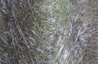 Little Crawley fibreglass roof work